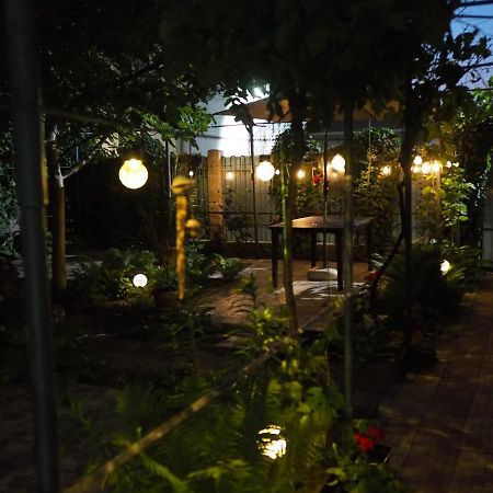 Casa De Vacanta Rodica Суліна Екстер'єр фото