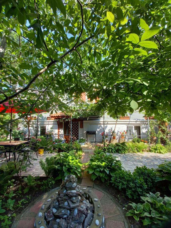 Casa De Vacanta Rodica Суліна Екстер'єр фото