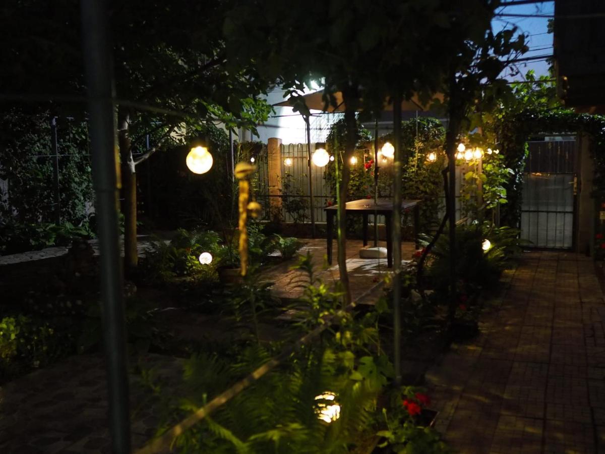 Casa De Vacanta Rodica Суліна Екстер'єр фото